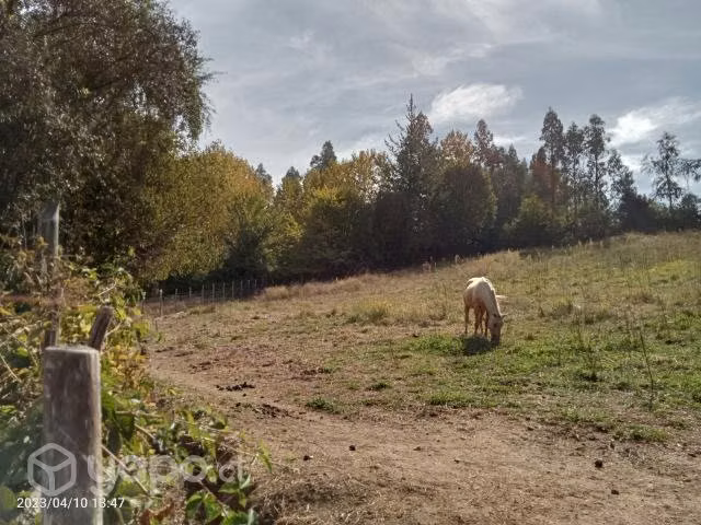 Parcela en bajo perquin talca - Imagen 7