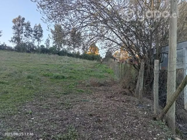 Parcela en bajo perquin talca - Imagen 19