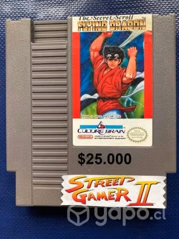 Flying dragon nintendo nes
