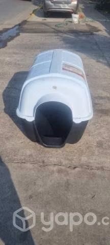 Casa de perro