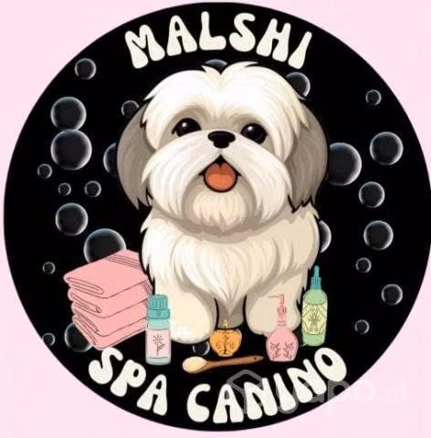 Peluquería canina,y terapias alternativas para mas