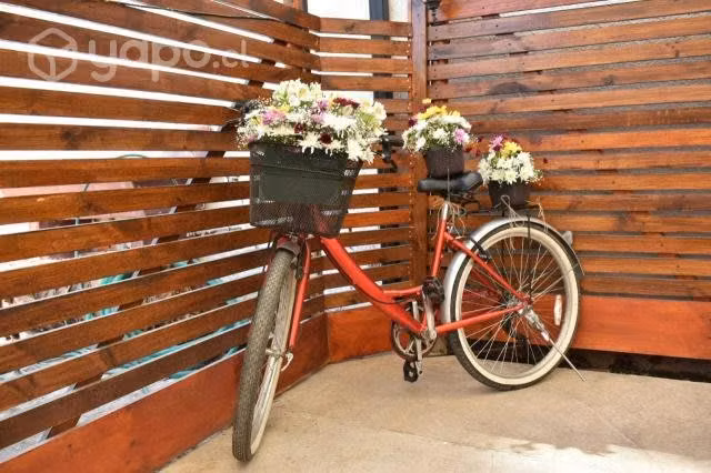 Vendo mi bici - Imagen 3