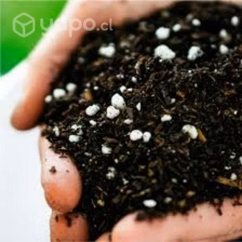 Sustrato para todo tipo de plantas