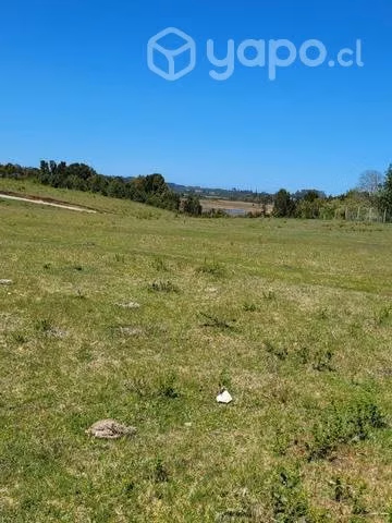 Hermosa parcela, sector chuyaquen, Maullin