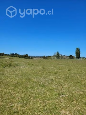 Hermosa parcela, sector chuyaquen, Maullin