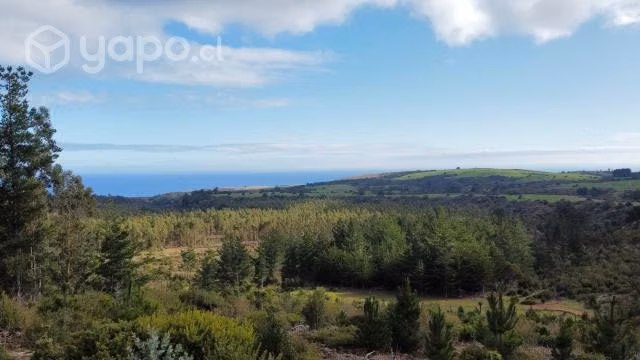 Preciosa Parcela De 1.8 Hás Con Vista Al Mar. Quin
