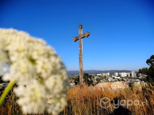 Rodolfo Briceño Concepcion - Imagen 6
