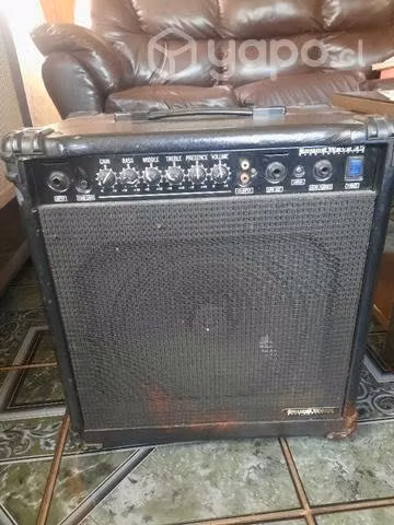 Amplificador bajo 30 wats