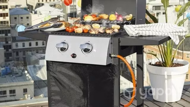 Parrilla a gas GRILLMEISTER con 2 quemadores