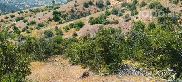 Terreno en Peralillo 5000 m²