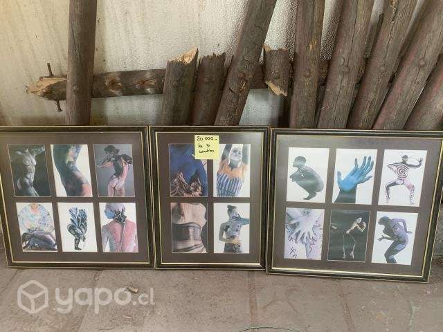 Cuadros de cuerpos pintados - Imagen 4