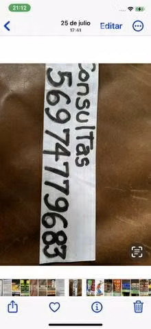 Ultrasonido linterna para enseñanza perros