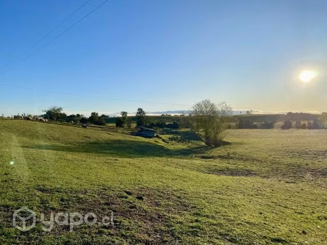 Venta de parcela 4.15 hectáreas - Imagen 5