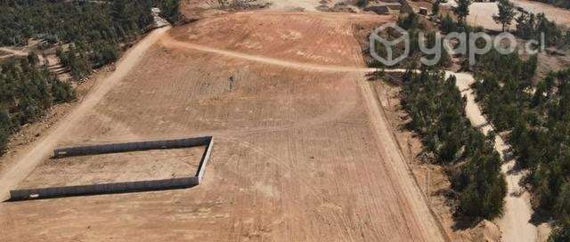 VENTA TERRENO 1.000m2 PLACILLA ORIENTE - Imagen 3
