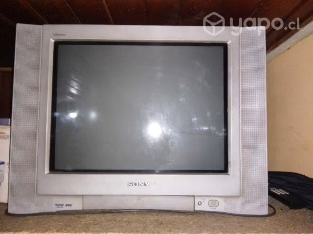 Televisor