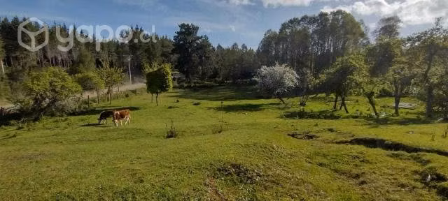 Terreno loteado con casa