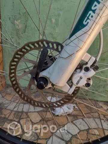 Bicicleta TREK WSD de mujer
