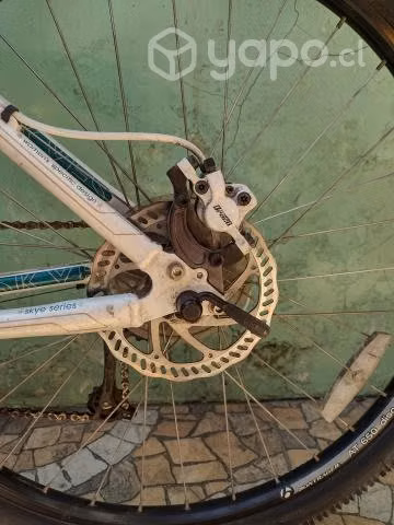 Bicicleta TREK WSD de mujer