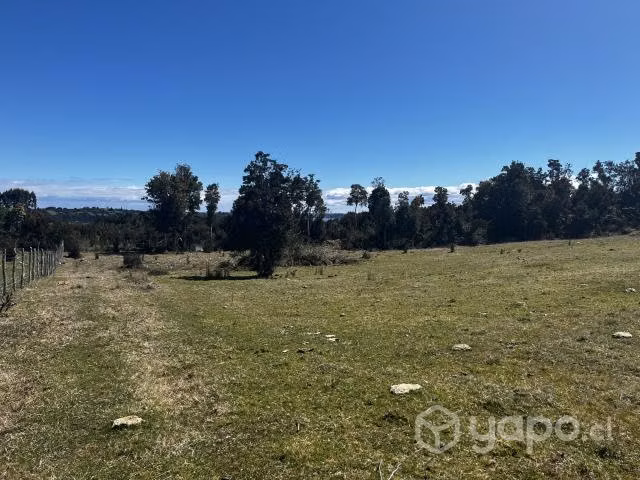 Terreno en isla Puluqui