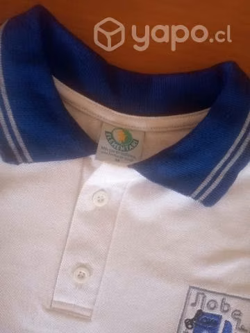 Polera nobelius - Imagen 2