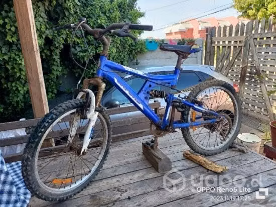 Bicicletas