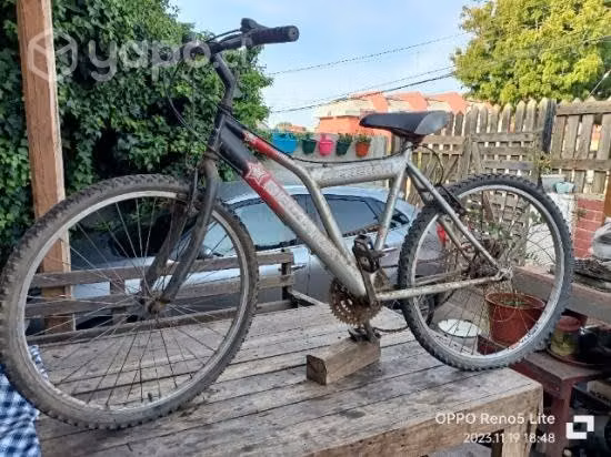 Bicicletas