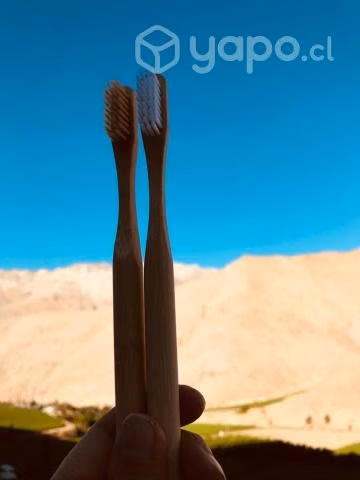 Cepillos de dientes ecologicos