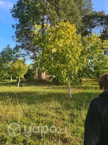 Hermosa Parcela La Unión