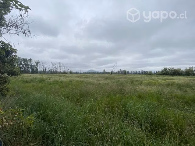 Terreno Agro-habitacional (9.951 mts 2)