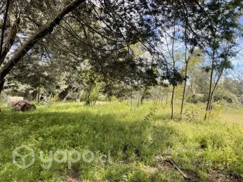 Terreno en los angeles - Imagen 8
