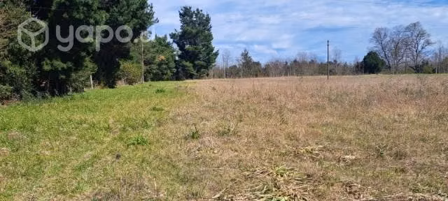 Excelente terreno con calidad Indígena - Imagen 2