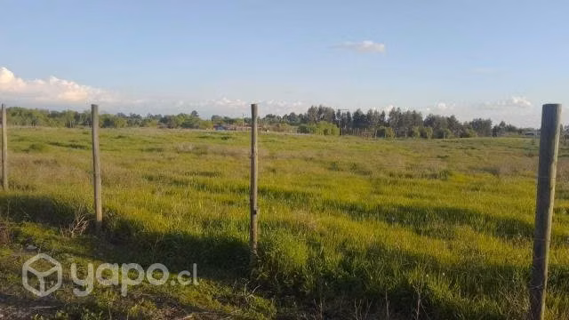 Parcela 5000m2