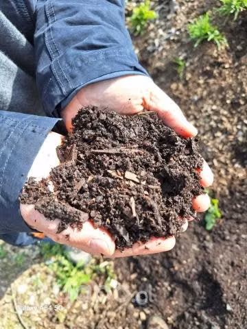 Vermi Compost - Imagen 4