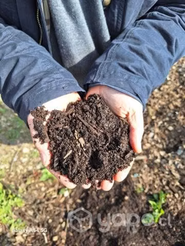 Vermi Compost - Imagen 2