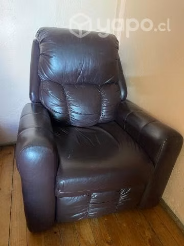 Bergere rosen