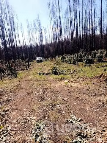 Parcela de una hectárea en Juan chico