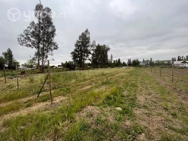 Vendo 5 sitios en chimbarongo