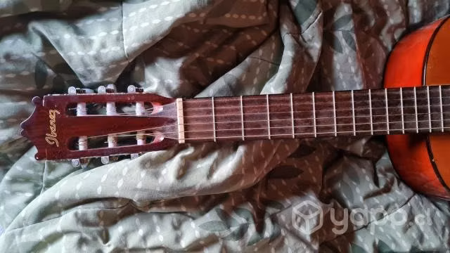 Guitarra clásica acústica Ibanez