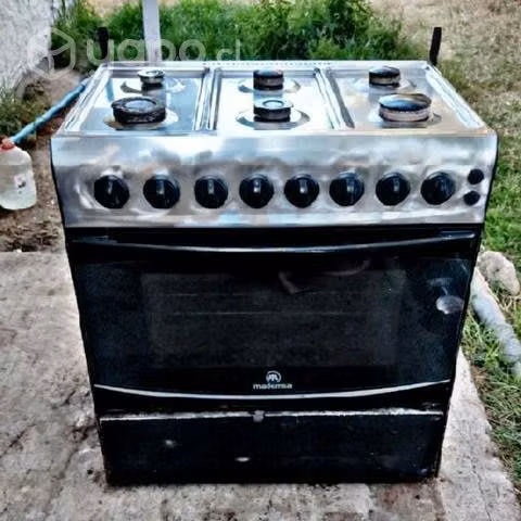 Cosina madensa