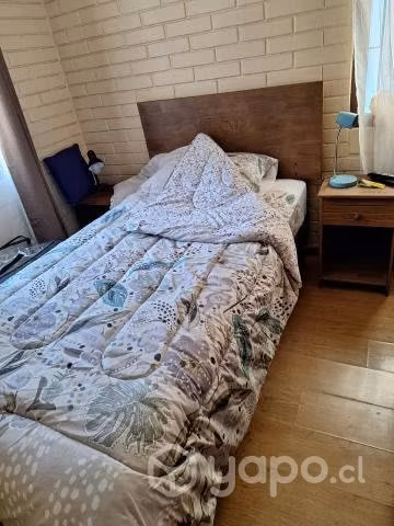 Cama Rosen