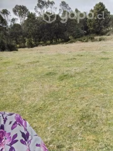 Media hectárea en Calbuco