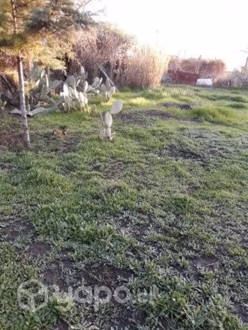 terreno - Imagen 2