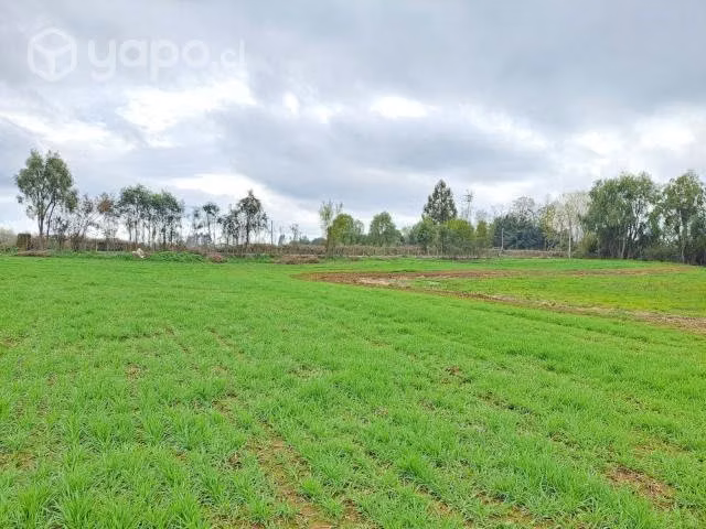 Terreno - Imagen 3