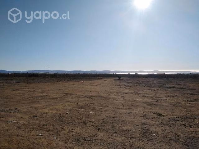 Terreno las tórtolas, Tongoy - Imagen 6
