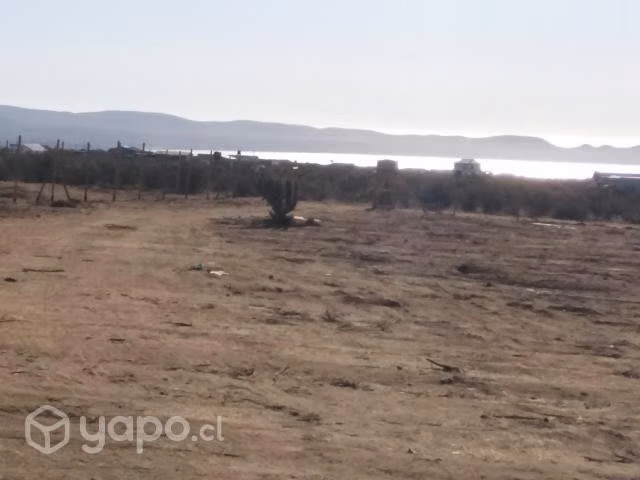 Terreno las tórtolas, Tongoy - Imagen 7