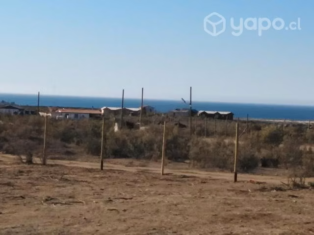 Terreno las tórtolas, Tongoy - Imagen 4