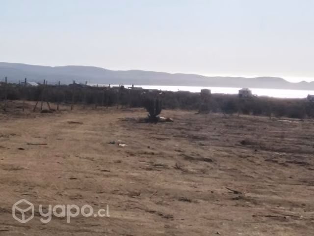 Terreno las tórtolas, Tongoy - Imagen 2