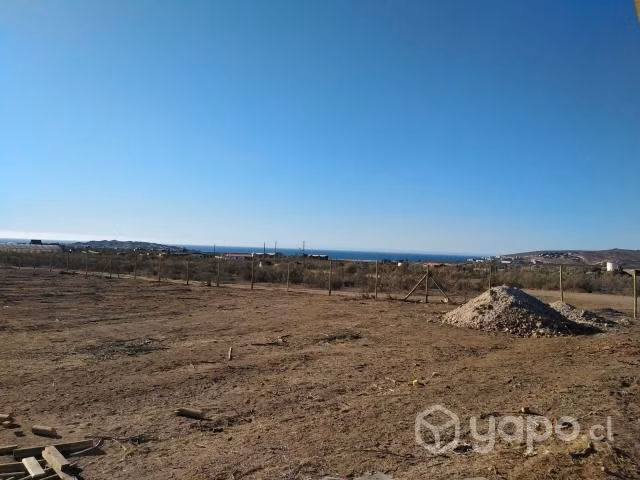 Terreno las tórtolas, Tongoy - Imagen 3