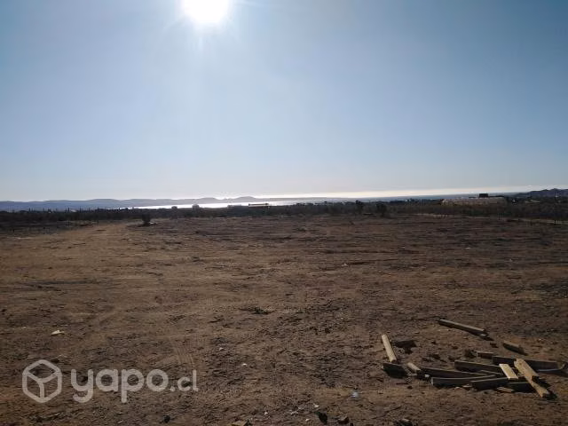 Terreno las tórtolas, Tongoy - Imagen 5