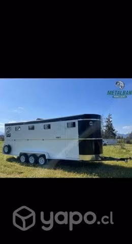 Fabricación de remolques y carros para caballos .
